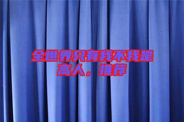 全世界只有我不我是高人，推薦