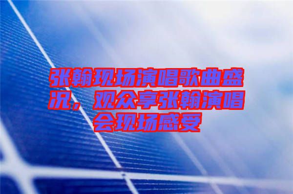 張翰現(xiàn)場(chǎng)演唱歌曲盛況，觀眾享張翰演唱會(huì)現(xiàn)場(chǎng)感受