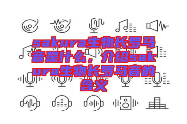sakura生物長(zhǎng)羅馬音是什么，介紹sakura生物長(zhǎng)羅馬音的含義