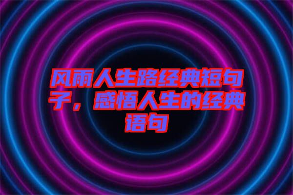 風(fēng)雨人生路經(jīng)典短句子，感悟人生的經(jīng)典語句