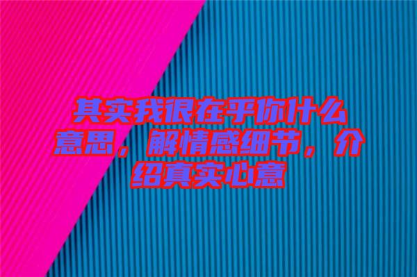 其實(shí)我很在乎你什么意思，解情感細(xì)節(jié)，介紹真實(shí)心意