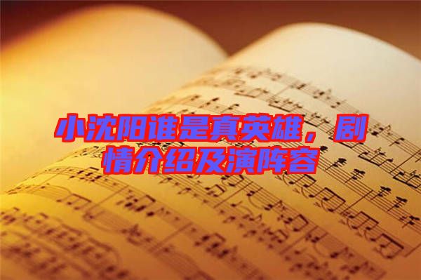 小沈陽誰是真英雄，劇情介紹及演陣容