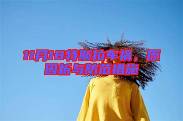 11月18特斯拉車禍，原因析與防范措施