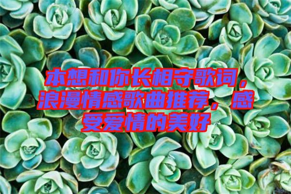 本想和你長(zhǎng)相守歌詞，浪漫情感歌曲推薦，感受愛情的美好