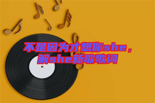 不是因為才想你she，解she新歌歌詞