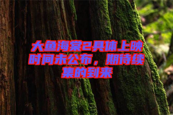 大魚海棠2具體上映時(shí)間未公布，期待續(xù)集的到來