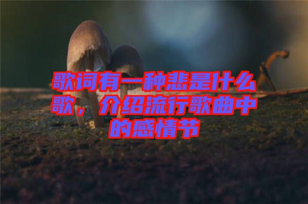 歌詞有一種悲是什么歌，介紹流行歌曲中的感情節(jié)
