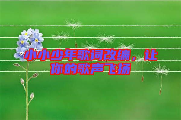 小小少年歌詞改編，讓你的歌聲飛揚