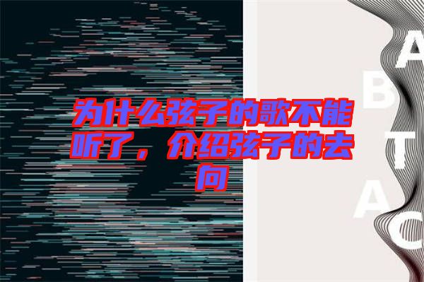 為什么弦子的歌不能聽了，介紹弦子的去向