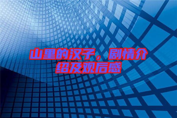 山里的漢子，劇情介紹及觀后感