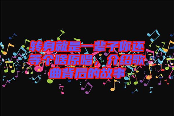 轉(zhuǎn)身就是一輩子你還等個啥原唱，介紹歌曲背后的故事