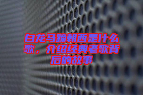 白龍馬蹄朝西是什么歌，介紹經(jīng)典老歌背后的故事