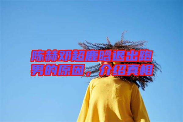 陳赫鄧超鹿晗退出跑男的原因，介紹真相