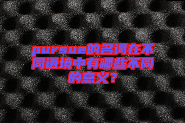 pursue的名詞在不同語境中有哪些不同的意義？