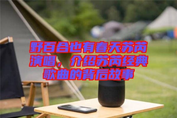 野百合也有春天蘇芮演唱，介紹蘇芮經(jīng)典歌曲的背后故事