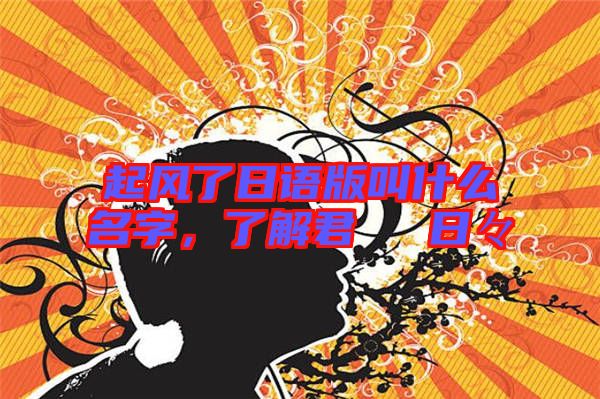 起風(fēng)了日語版叫什么名字，了解君といた日々