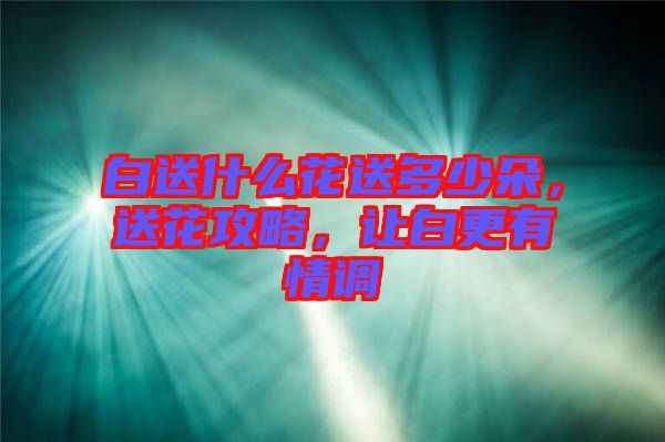 白送什么花送多少朵，送花攻略，讓白更有情調(diào)