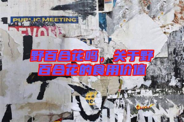 野百合花嗎，關(guān)于野百合花的食用價(jià)值