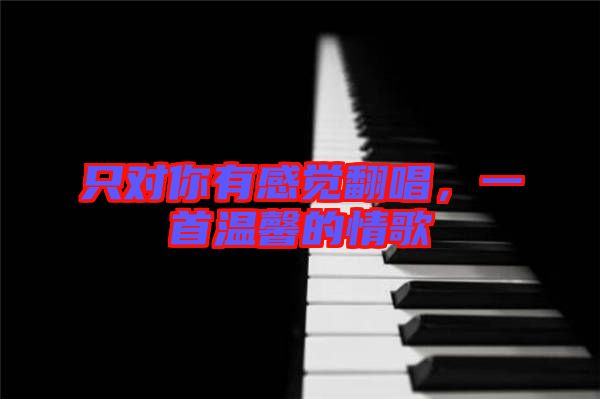 只對你有感覺翻唱，一首溫馨的情歌
