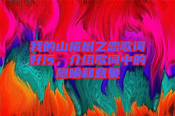 我的山楂樹(shù)之戀歌詞好污，介紹歌詞中的隱喻和意象