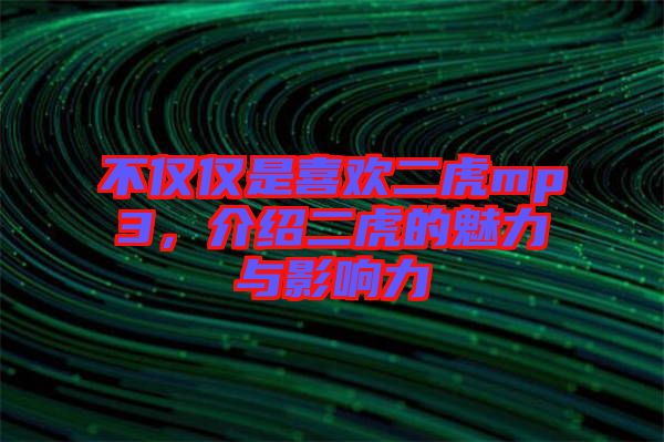 不僅僅是喜歡二虎mp3，介紹二虎的魅力與影響力