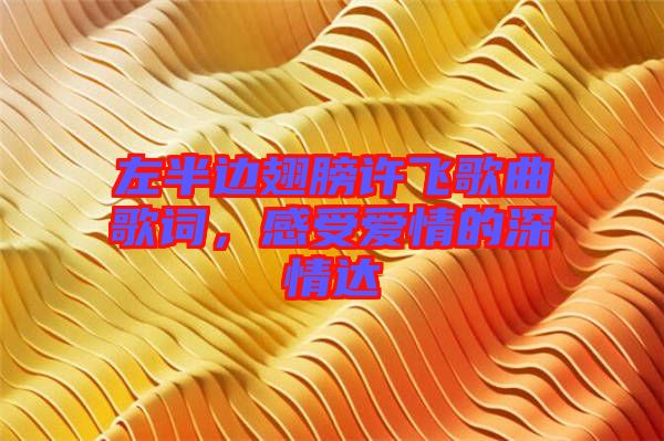 左半邊翅膀許飛歌曲歌詞，感受愛情的深情達(dá)