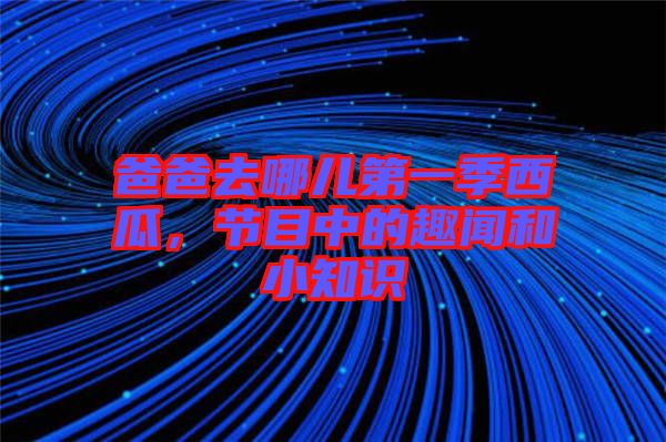 爸爸去哪兒第一季西瓜，節(jié)目中的趣聞和小知識(shí)