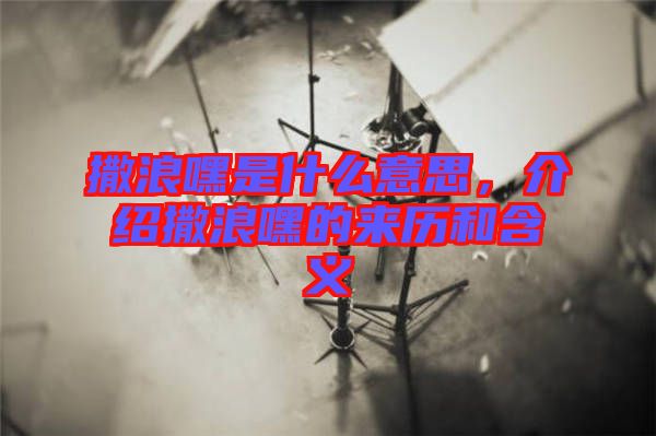 撒浪嘿是什么意思，介紹撒浪嘿的來(lái)歷和含義