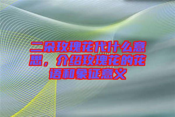 二朵玫瑰花代什么意思，介紹玫瑰花的花語和象征意義