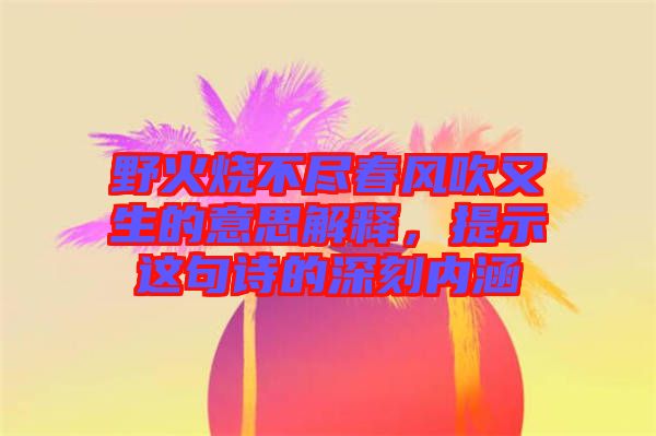 野火燒不盡春風(fēng)吹又生的意思解釋，提示這句詩的深刻內(nèi)涵