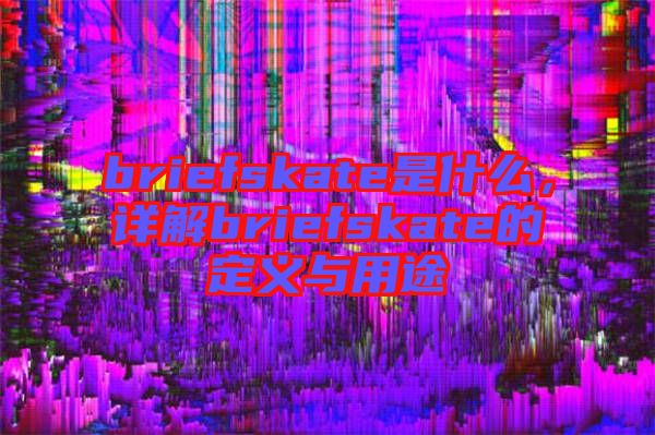 briefskate是什么，詳解briefskate的定義與用途