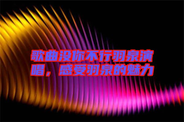 歌曲沒(méi)你不行羽泉演唱，感受羽泉的魅力