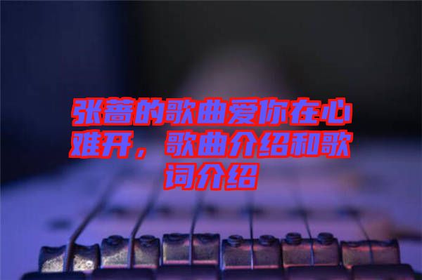 張薔的歌曲愛(ài)你在心難開(kāi)，歌曲介紹和歌詞介紹