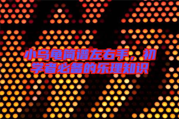 小烏龜簡譜左右手，初學(xué)者必備的樂理知識