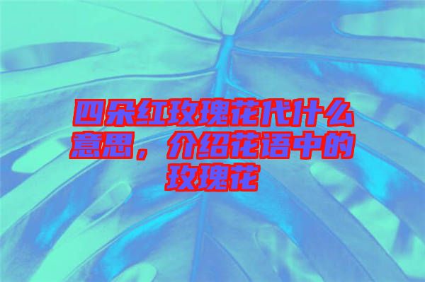四朵紅玫瑰花代什么意思，介紹花語中的玫瑰花