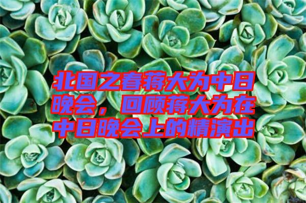 北國(guó)之春蔣大為中日晚會(huì)，回顧蔣大為在中日晚會(huì)上的精演出