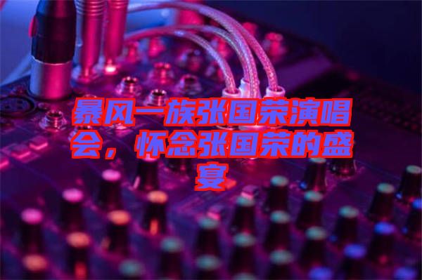 暴風一族張國榮演唱會，懷念張國榮的盛宴