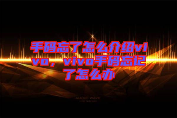 手碼忘了怎么介紹vivo，vivo手碼忘記了怎么辦