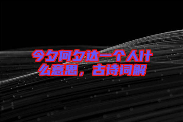 今夕何夕達(dá)一個人什么意思，古詩詞解