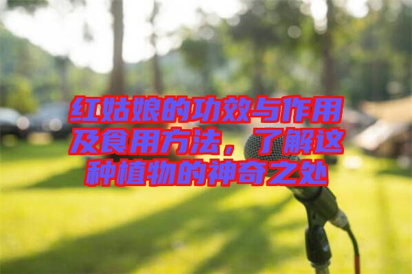 紅姑娘的功效與作用及食用方法，了解這種植物的神奇之處