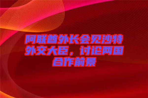 阿聯(lián)酋外長(zhǎng)會(huì)見(jiàn)沙特外交大臣，討論兩國(guó)合作前景