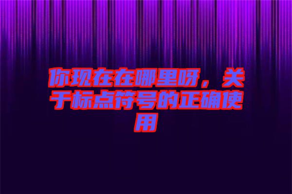 你現在在哪里呀，關于標點符號的正確使用