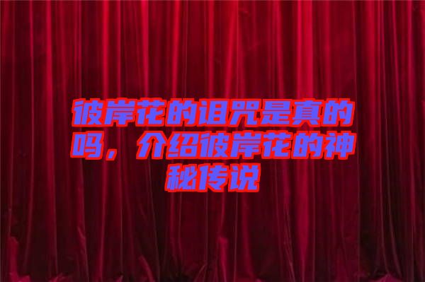 彼岸花的詛咒是真的嗎，介紹彼岸花的神秘傳說(shuō)