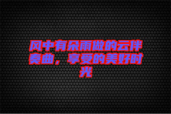 風(fēng)中有朵雨做的云伴奏曲，享受的美好時光