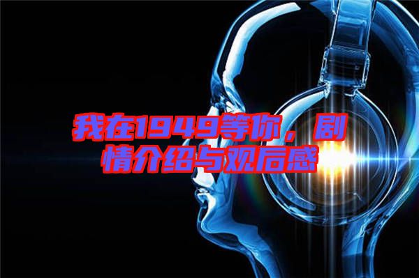 我在1949等你，劇情介紹與觀后感