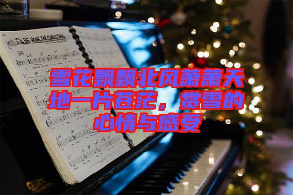 雪花飄飄北風(fēng)蕭蕭天地一片蒼茫，賞雪的心情與感受