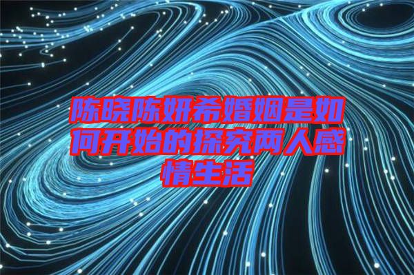 陳曉陳妍?；橐鍪侨绾伍_始的探究?jī)扇烁星樯? width=