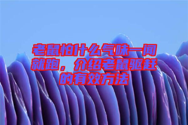 老鼠怕什么氣味一聞就跑，介紹老鼠驅(qū)趕的有效方法