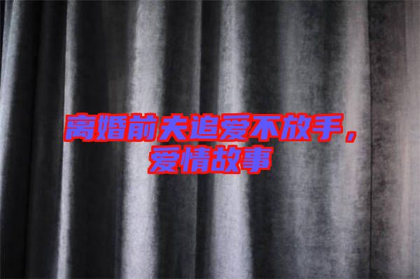 離婚前夫追愛(ài)不放手，愛(ài)情故事