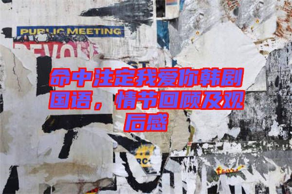 命中注定我愛你韓劇國語，情節(jié)回顧及觀后感